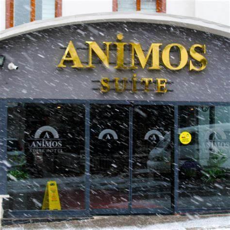 Animos Butik Otel อังการา ภายนอก รูปภาพ